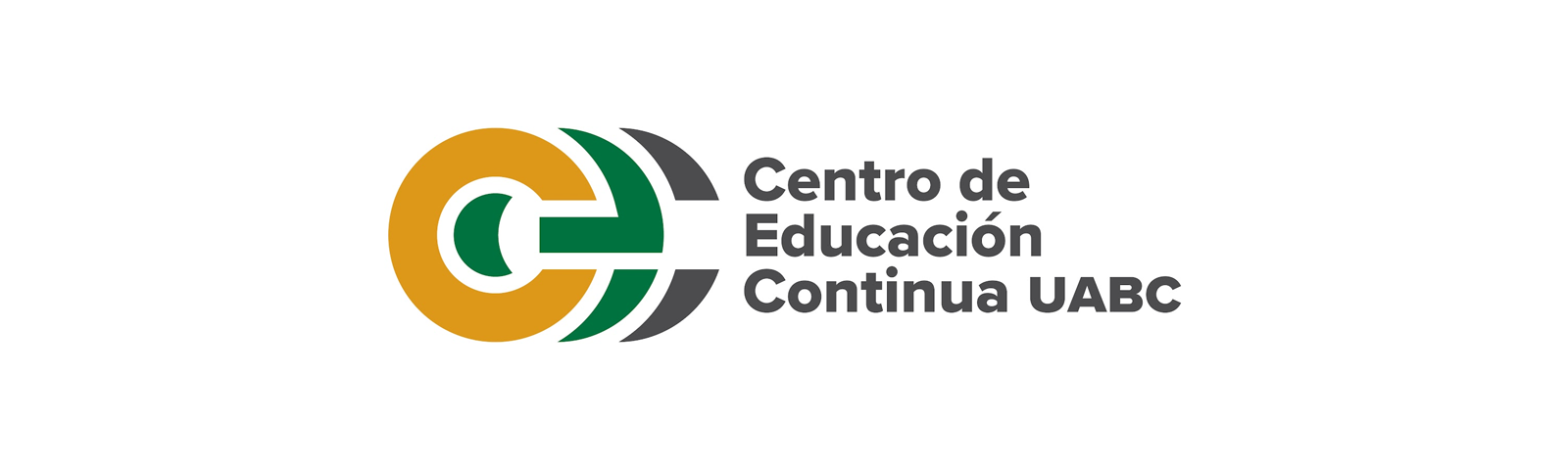 Spanish Immersion Camp Online – Nivel Avanzado